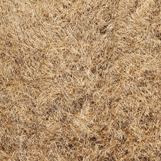 Rosate360 TF 20L Glyphosate - Total Weed Killer