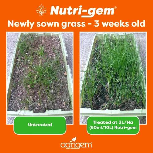 Nutrigem Foliar Fertiliser 5L - UK Amenity Ltd