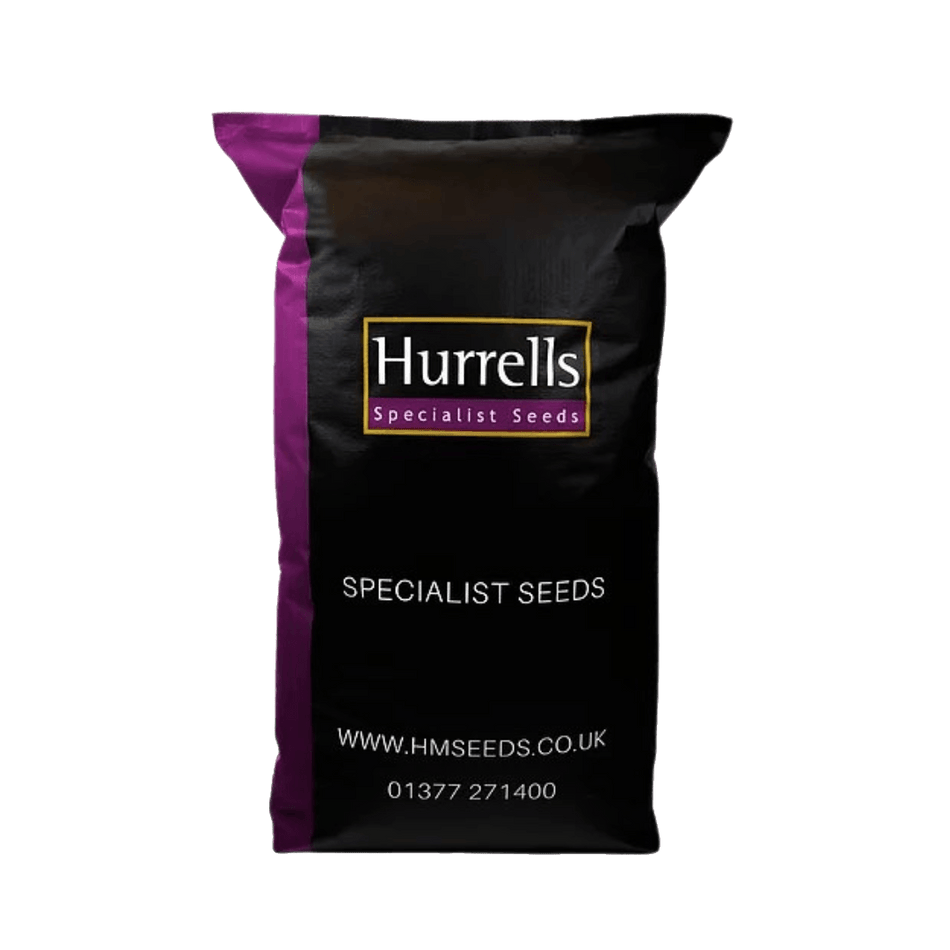20kg - FR.3 Contractor Football & Rugby Pitch 100% Ryegrass Grass Seed Mix - UK Amenity Ltd