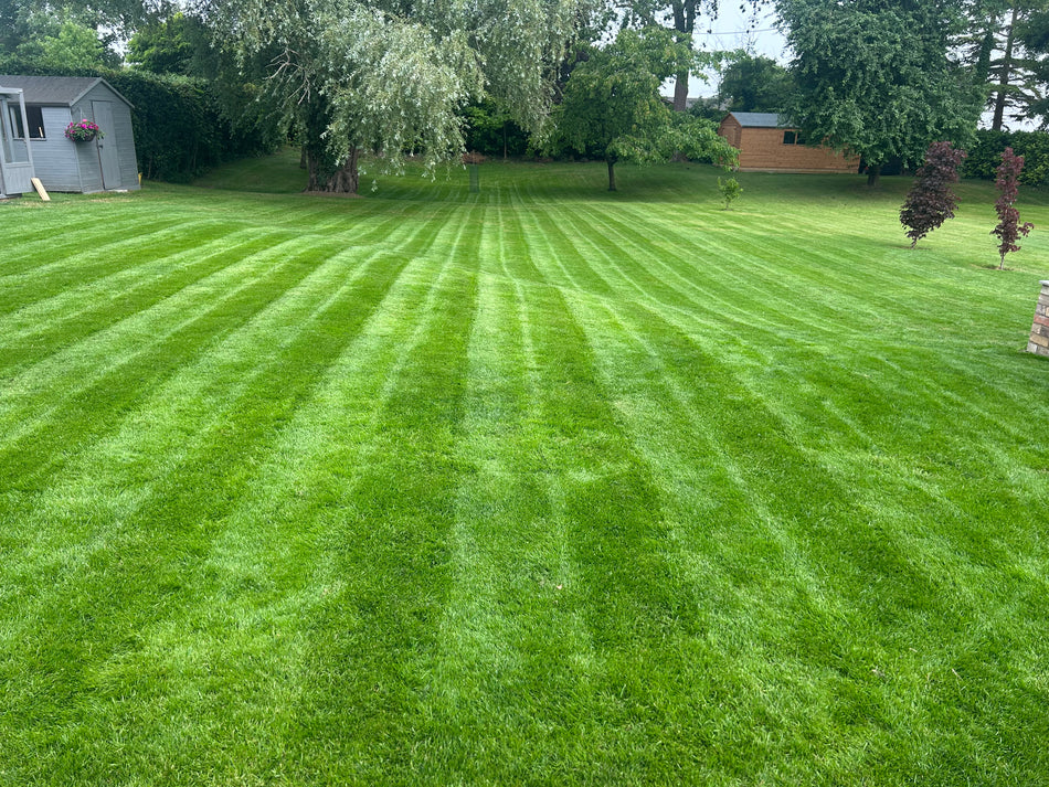 Infuze Wetting Agent 10L