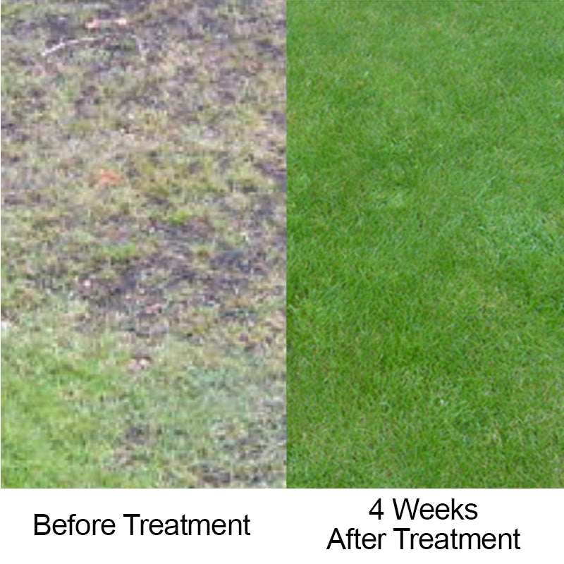 Floratine Pervade 10L