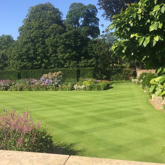 Hurrells HM.1 Fine Lawn Grass Seed Mix (HM1) 20KG