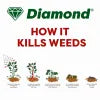 Diamond Horsetail Weed Killer - Professional Herbicide 1L