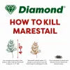 Diamond Horsetail Weed Killer - Professional Herbicide 5L